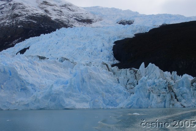 calafate_317.JPG