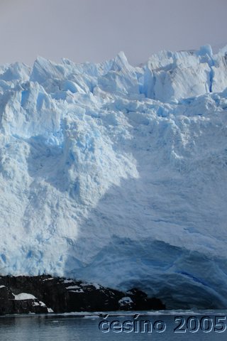 calafate_318.JPG