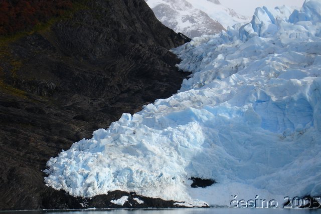 calafate_319.JPG