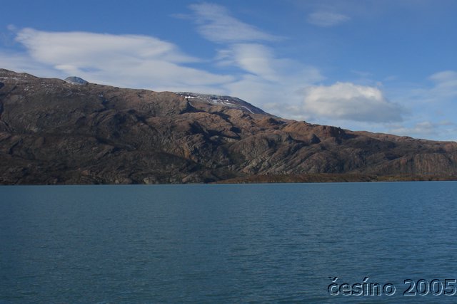 calafate_328.JPG