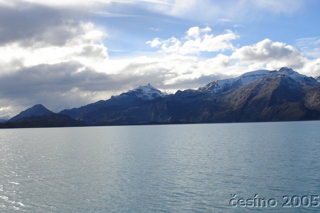 calafate_329.JPG