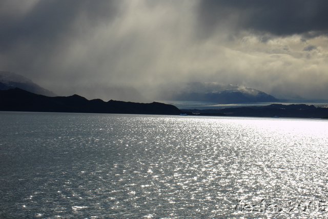 calafate_331.JPG