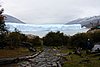 calafate_009.JPG