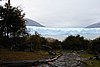 calafate_011.JPG