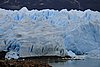 calafate_013.JPG