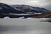 calafate_016.JPG