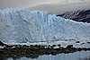 calafate_020.JPG