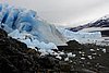 calafate_024.JPG