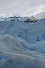 calafate_045.JPG