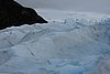 calafate_047.JPG