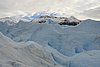 calafate_051.JPG