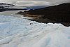 calafate_052.JPG
