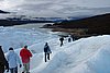 calafate_057.JPG