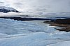 calafate_061.JPG