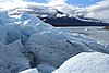 calafate_076.JPG