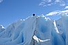 calafate_082.JPG