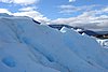 calafate_091.JPG