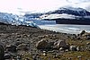 calafate_104.JPG