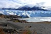 calafate_105.JPG