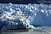 calafate_106.JPG