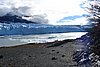 calafate_107.JPG