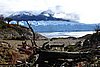 calafate_108.JPG