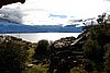 calafate_110.JPG