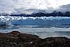 calafate_112.JPG