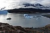 calafate_114.JPG