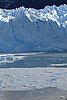 calafate_117.JPG