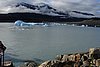 calafate_118.JPG