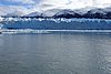 calafate_119.JPG