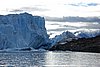 calafate_127.JPG