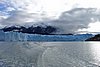 calafate_129.JPG