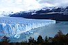 calafate_133.JPG