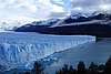 calafate_134.JPG