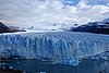 calafate_135.JPG