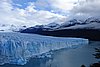 calafate_136.JPG