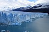 calafate_137.JPG