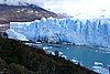 calafate_138.JPG