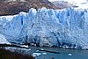 calafate_139.JPG