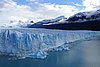 calafate_141.JPG