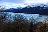 calafate_146.JPG