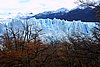 calafate_147.JPG