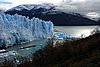 calafate_154.JPG