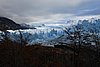 calafate_158.JPG