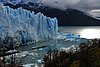 calafate_163.JPG