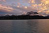 calafate_179.JPG