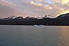 calafate_185.JPG