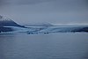 calafate_209.JPG